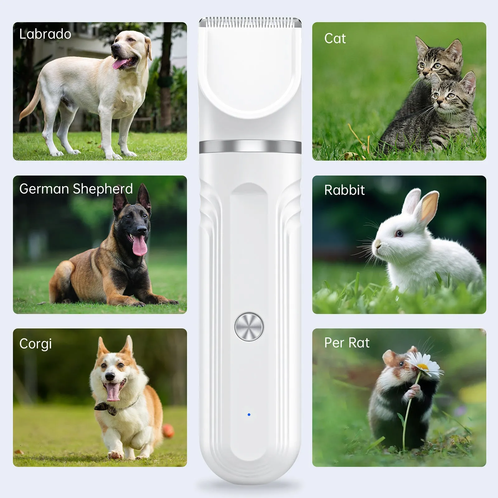 4 in 1 Dog Hair Clipper Grooming Kit