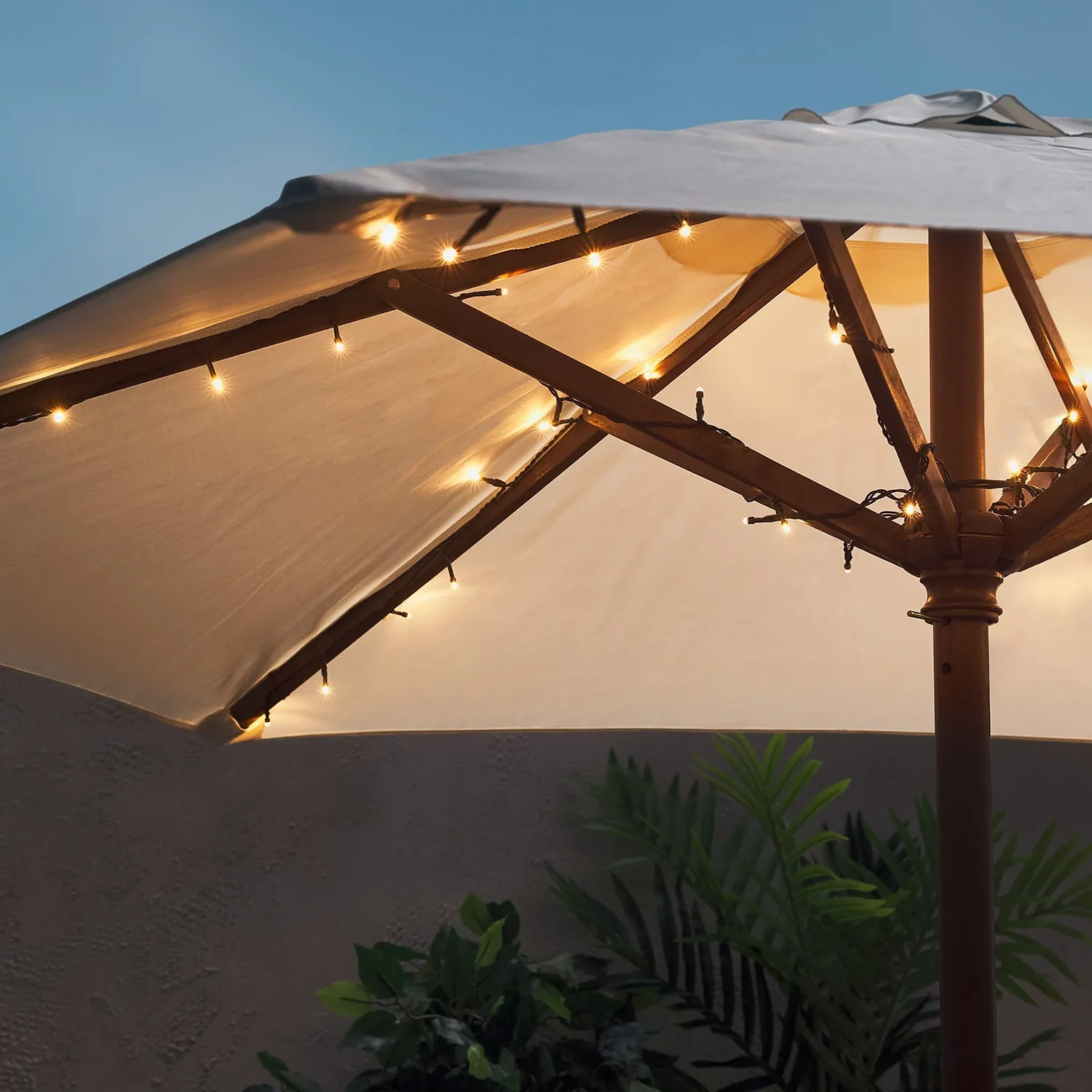 50 Warm White LED Outdoor Battery Fairy Lights On Green Cable