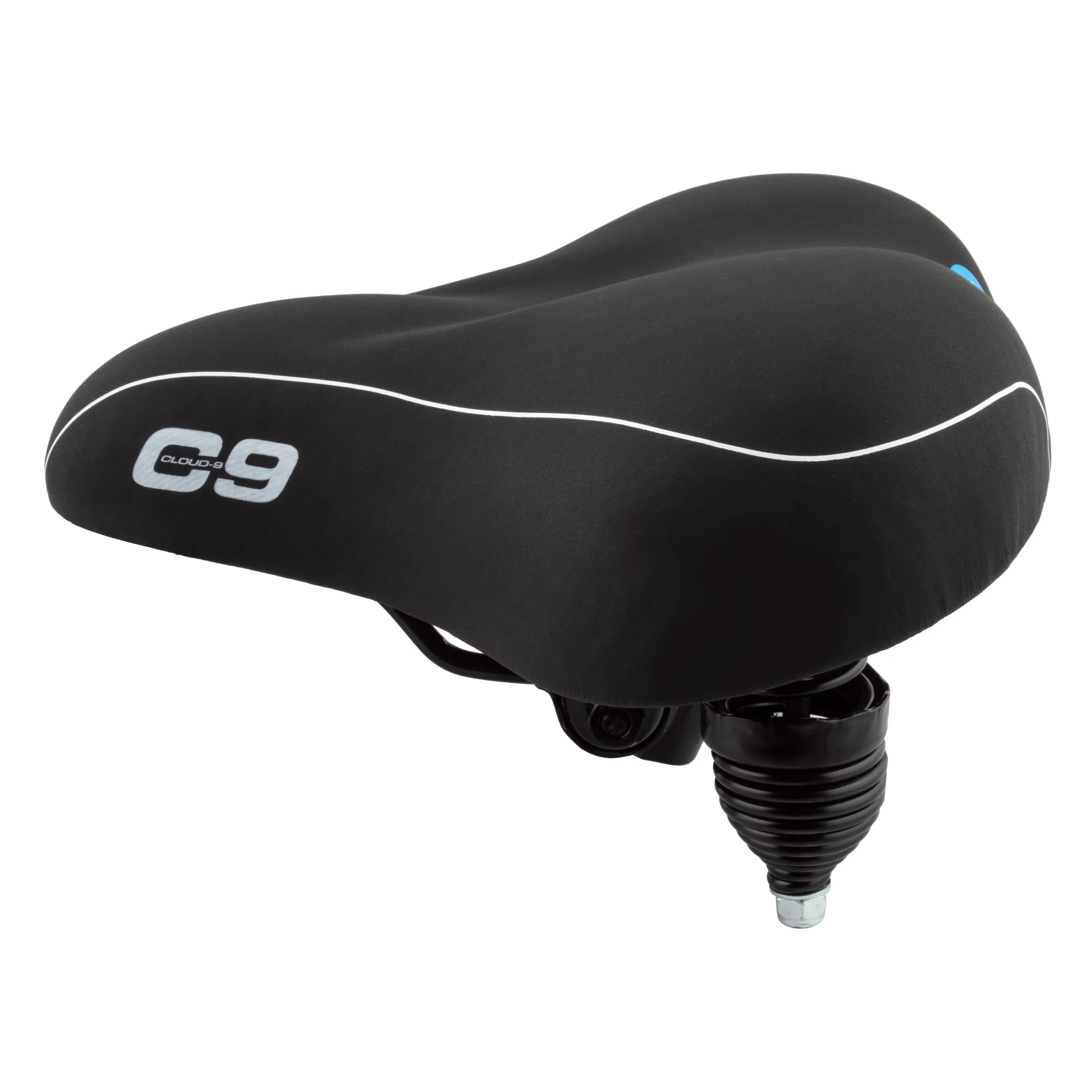 CLOUD-9 Cruiser Anatomic