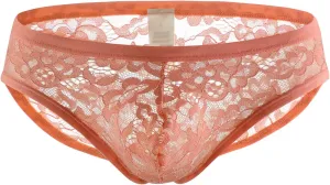 JEsilunmaMY Men's See Through Briefs Low Rise Lace Sheer Pouch Underwear Sexy Breathable Sissy Panties Lingerie Bikini
