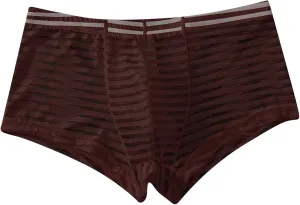 Sexy Stripe Sheer Mesh Lace Boxer Briefs for Men Mid-Waist Underwear Seamless Breathable Boyshort Bulge Pouch Panties Coffee