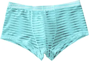 Sexy Stripe Sheer Mesh Lace Boxer Briefs for Men Mid-Waist Underwear Seamless Breathable Boyshort Bulge Pouch Panties Light Blue