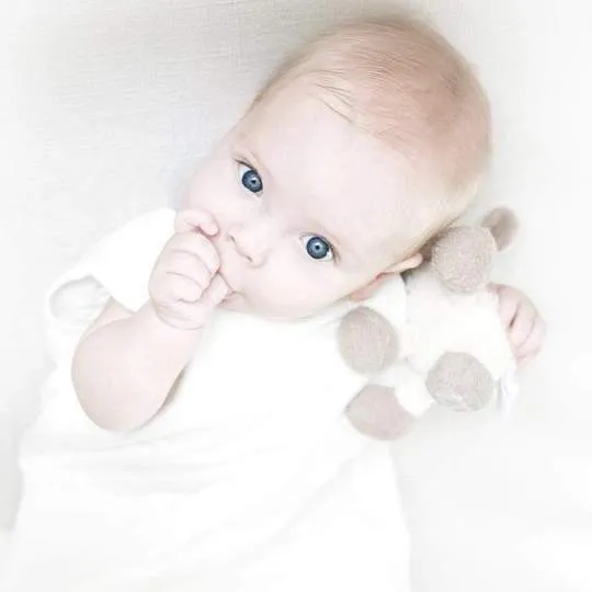 Solid Sleep Bag Tog 1.0 - Cloud by Kyte Baby